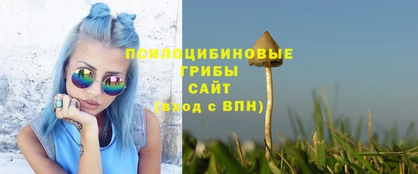 a pvp Абаза