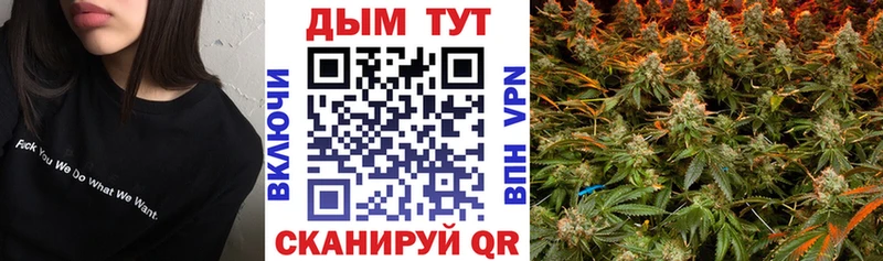 купить  цена  Инза  Марихуана OG Kush 